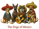 The Cats & Dogs of Mexico