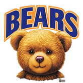 The Chicago Teddy Bears