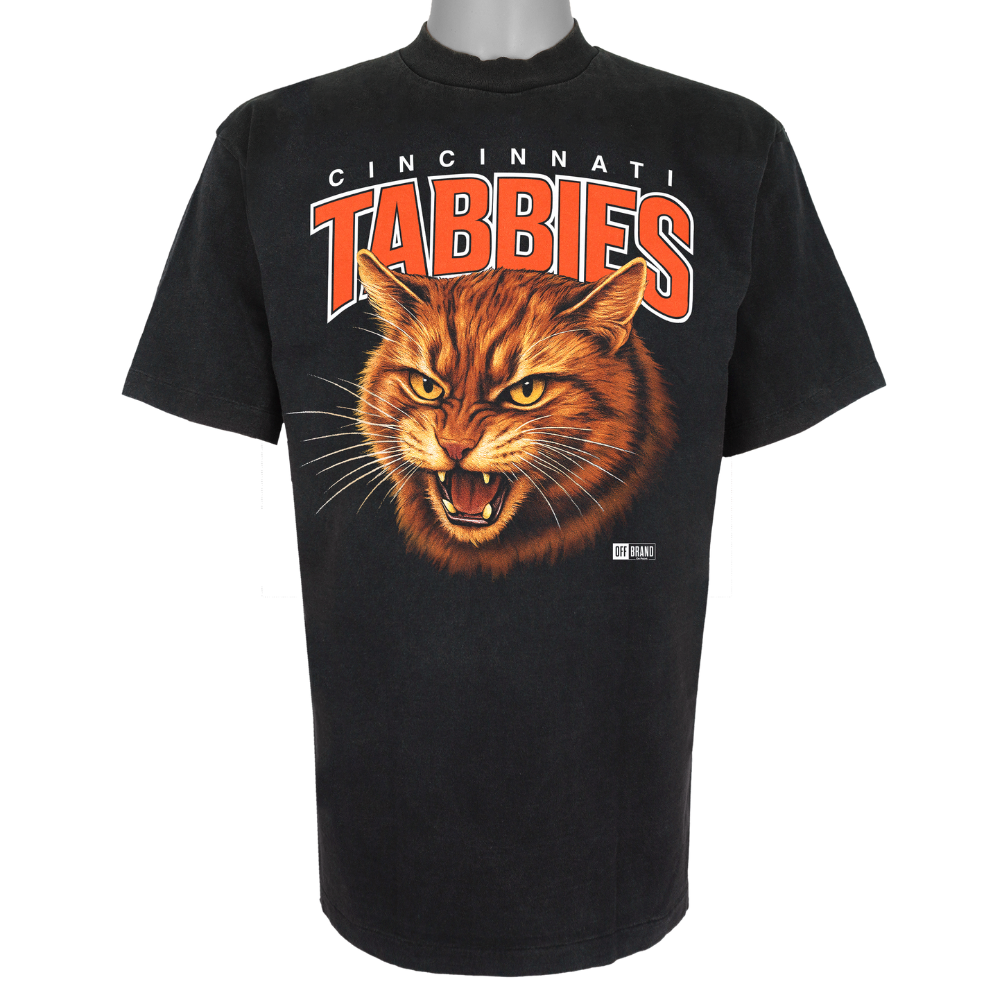 Cincinnati Tabbies parody t-shirt inspired by Cincinnati football culture, featuring original tabby cat artwork.